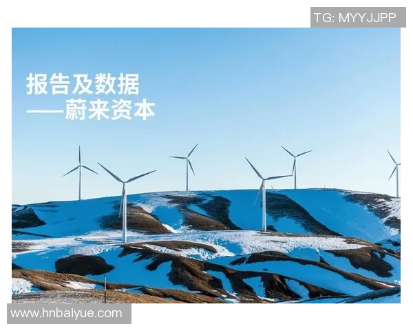 亚马尔地区的能源开发与可持续发展探索及其对全球市场的影响分析